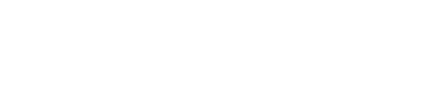 Ransel.AI